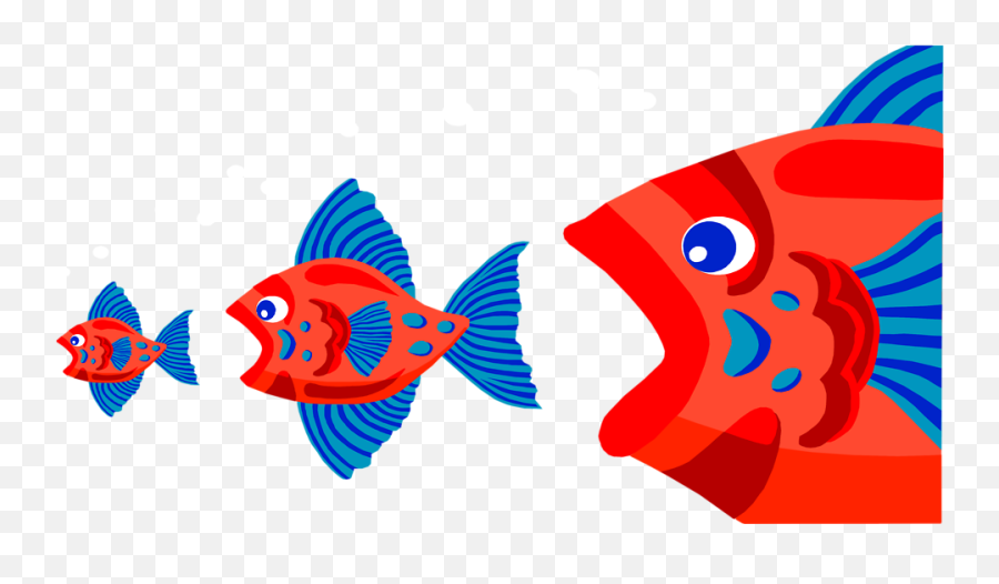 Download Free Stock Photo - Fish Eating Smaller Fish Full Fish Eating Fish Clipart Emoji,Free Fish Emoji