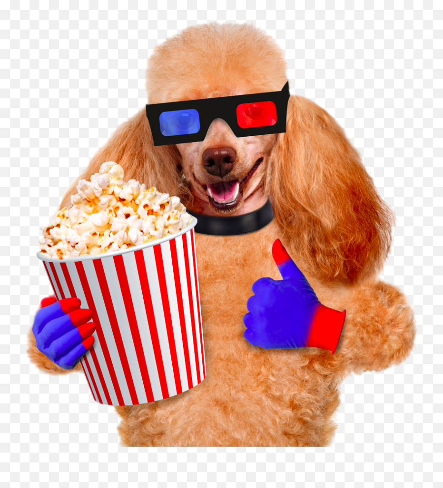 Cinema Photography Pug Dog Popcorn Film Emoji,Cepillo De Dientes Emoticon