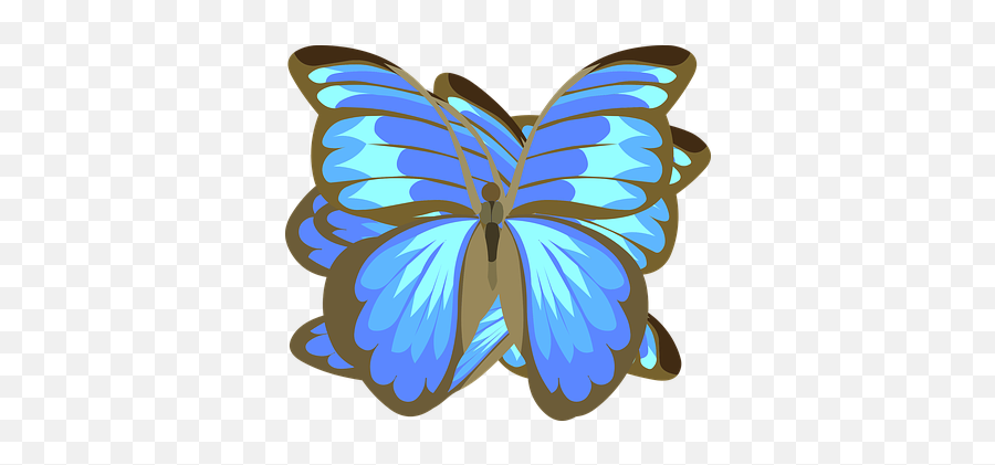 40 Free Black Butterfly U0026 Butterfly Vectors - Pixabay Emoji,Buy Emotion Butterfly