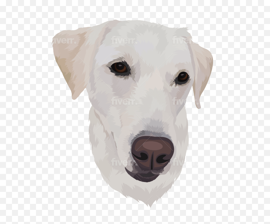 Draw Vector Illustration Your Dog Cat Or Pet 12 Hrs By Emoji,Big Blinking Puppy Dog Eyes Emoji