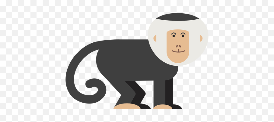 Capuchin Png Svg Transparent Emoji,Emotions Of A White-faced Capuchin Monkey