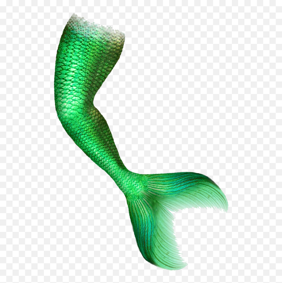 Mermaid Png For Computer - Mermaid Tail Green Screen Clipart Emoji,Emoticon Sirene Anniversaire