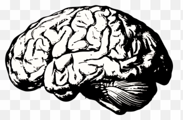 The Science Of Anger - Transparent Transparent Background Brain Cartoon Emoji,Anger Emotion Drawing