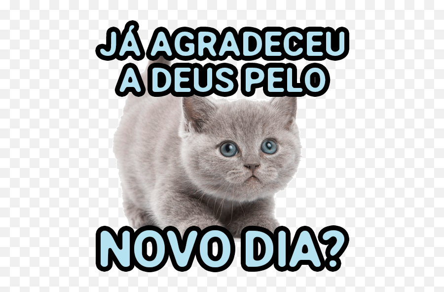 Figurinhas De Bom Dia Para Whatsapp U2013 Mensagens De Bom Dia - Co Hoi Thu Hai Emoji,Bribcadeira Com Emoji De Musicas Gospel Para Whats