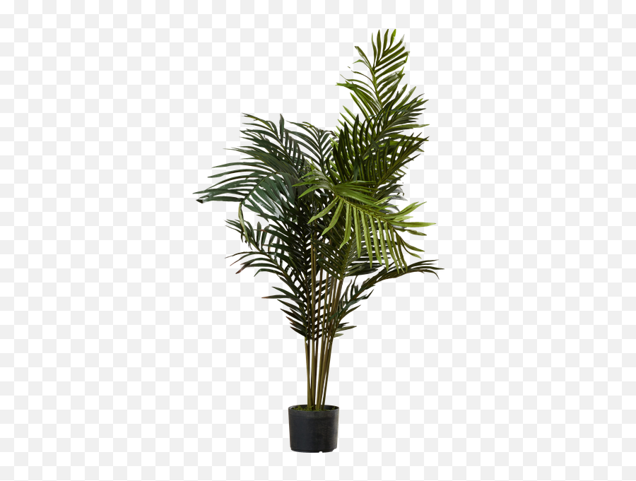 Black Hammock Palm Tree With Pot - Palm Tree In A Pot Png Emoji,Tree House Emoji