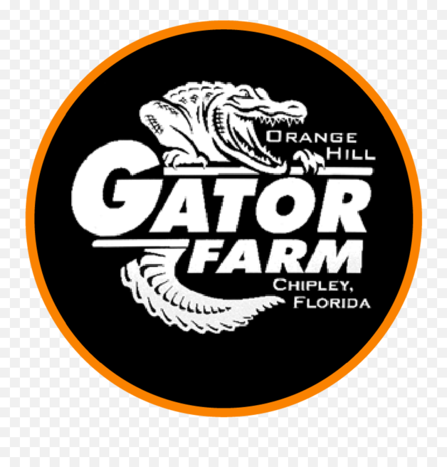 Alligator Preserve Panama City Beach Fl Orange Hill - Glengoyne Distillery Emoji,Facebook Emoticons Alligator