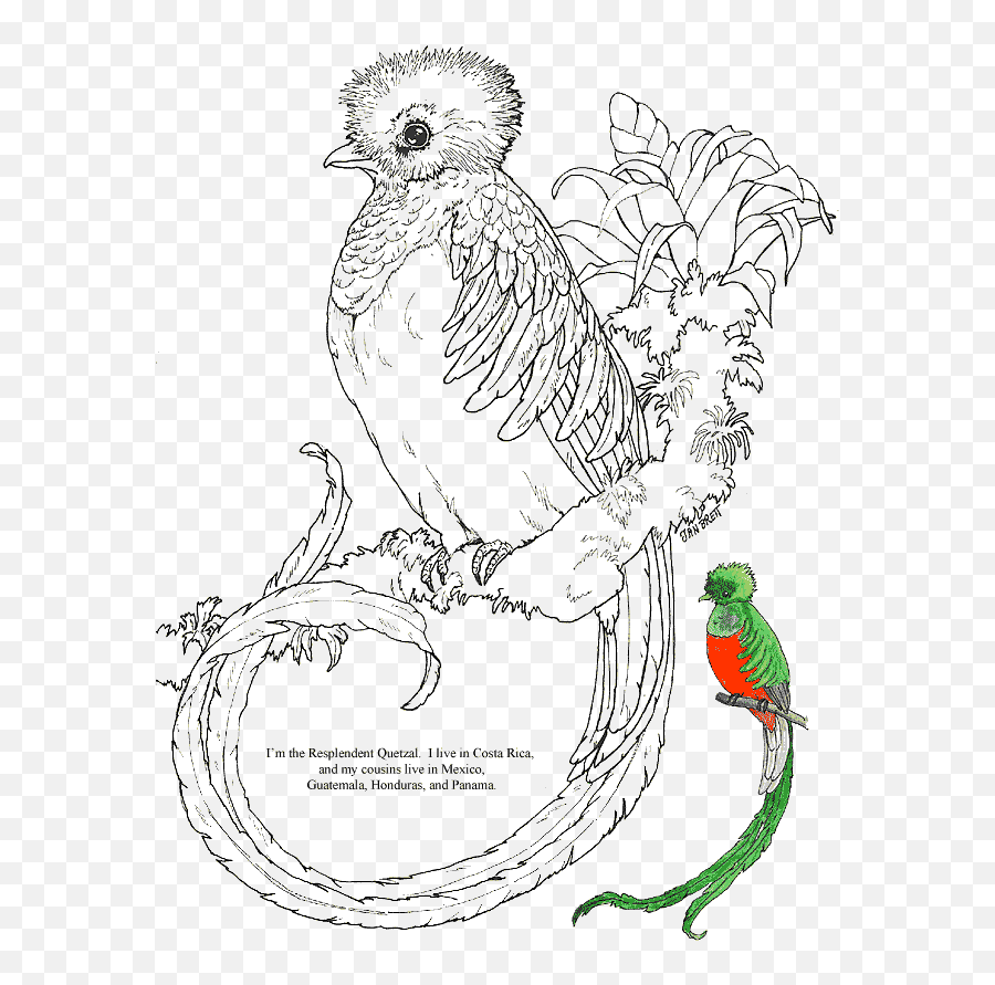 Quetzal Coloring Page - Quetzal Coloring Page Emoji,Emotion Paw Patrol Coloring Sheets