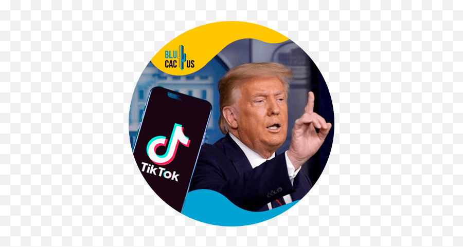 Blucactus Digital Marketing Emoji,Donald Trump Paragraph With Emojis