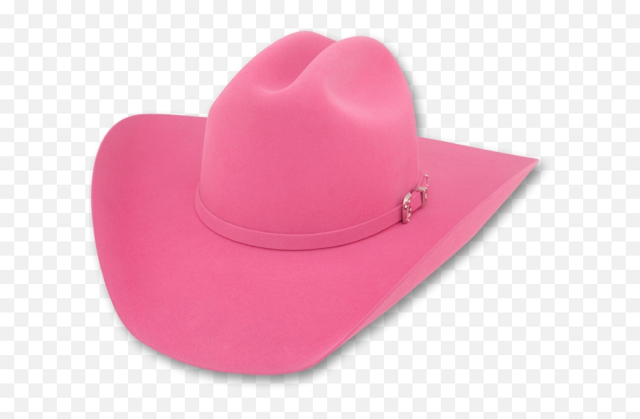 Download 10x Fur Felt Cattleman - Cowboy Hat Png Image With Emoji,Cowboy Hat Facebook Emojis