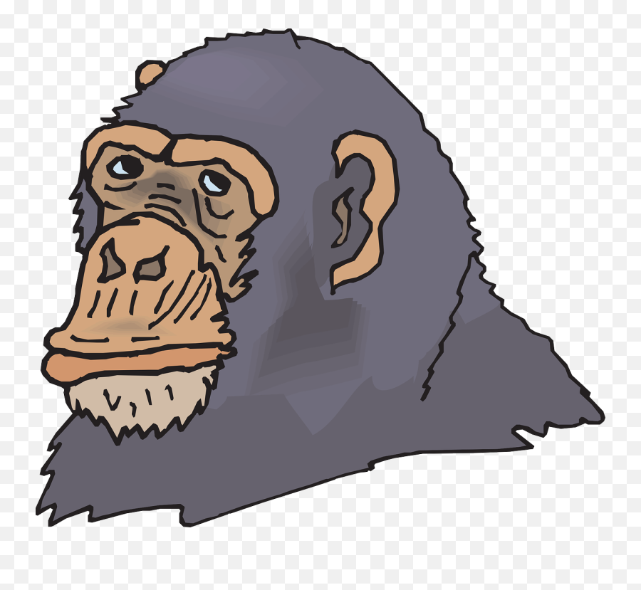 Chimp Crazy Funny Goofy Animal - Chimpanzee Emoji,Ape Emoji Code