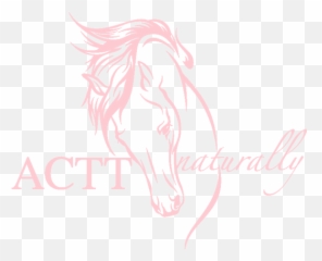 On Aftercare School Is Out And Horsemanship Is In Emoji,Sketches Body Posture Emotions