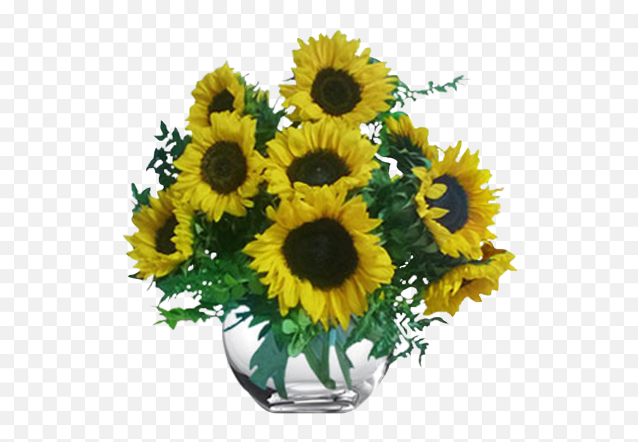 Sunflower Bowl Flower Delivery Akron Oh By House Of Plants Emoji,Ikebana Emoticon