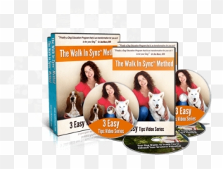 Walk In Sync - Contact Us Emoji,Videos Of Dogs Emotions
