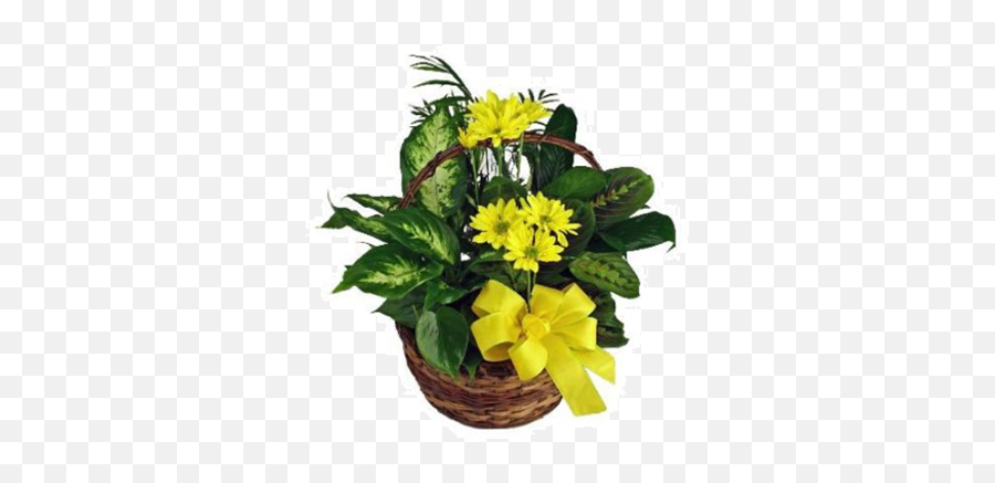 Beavercreek Florist Florist - Beavercreek Chamber Of Emoji,Wicker Basket Emoji