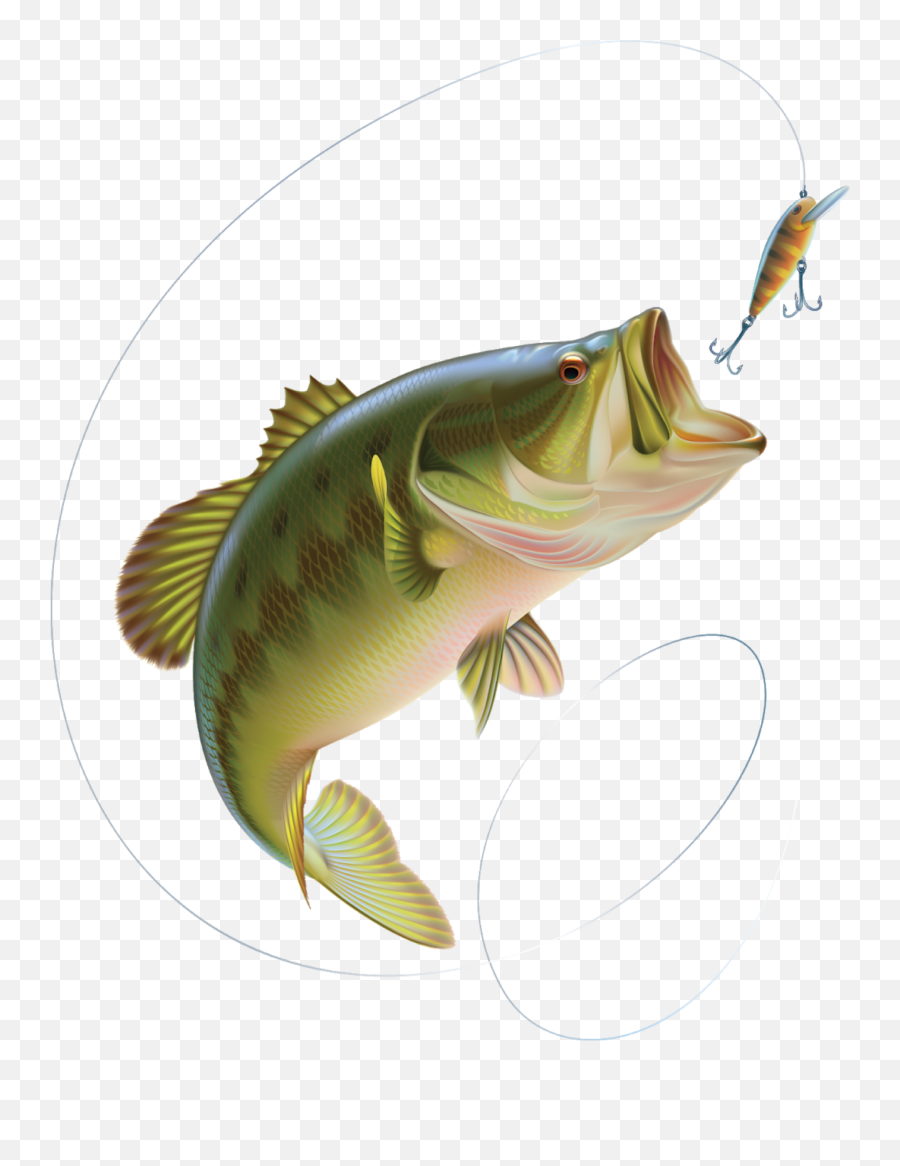 The Most Edited Fishing Rod Picsart - Cartoon Largemouth Bass Bass Fish Emoji,Fishing Moon Emoji