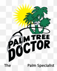 Palm Tree Emoji Sticker By Adam J Kurtz For Ios Android,Palm Tree Emoji