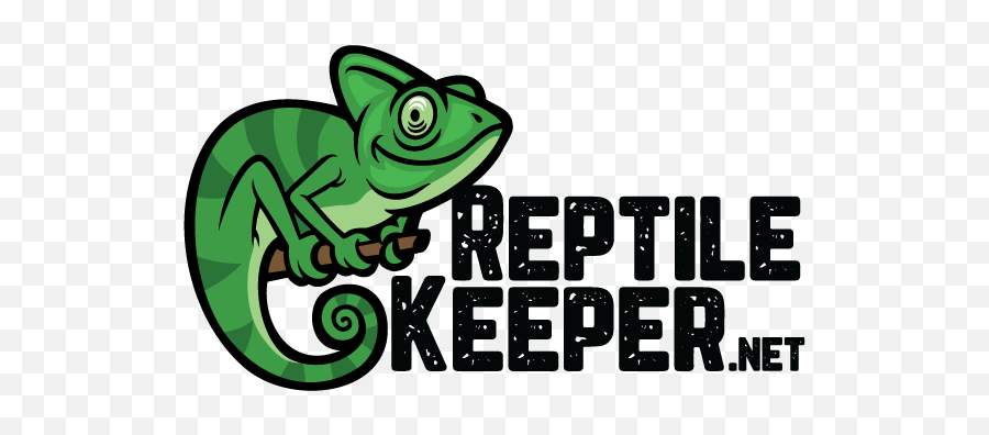 The Place For Reptile Keepers To Learn - Common Chameleon Emoji,Reptiles Have Emotions