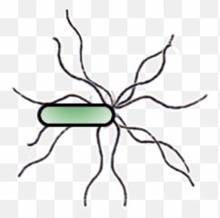 Top Anime Openings Stickers For Android U0026 Ios Gfycat - Transparent Animated Bacteria Gif Emoji,Tumbling Emoticons