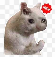 New Funny Cat Memes Stickers Wastickerapps U2013 Apps On Google Play - Go To Depression Jail Bonk Emoji,Cat Heart Emoji Meme
