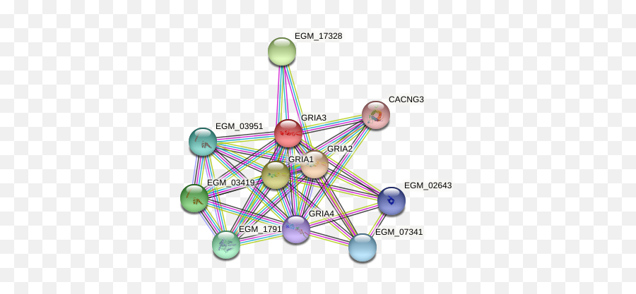 Gria3 Protein Macaca Fascicularis - String Interaction Network Dot Emoji,Brain Emp Patterns Emotions