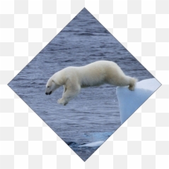 Polar Bear Custom Diamond Trophy With Rolled Metal Column - Polar Ice Cap Emoji,Shades Polar Bear Emoji