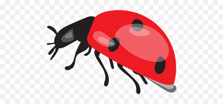 Free Ladybird Ladybug Vectors - Parasitism Emoji,Zzz Ant Ladybug Ant Emoji