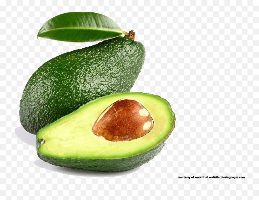 Nut Clipart Avocado Nut Avocado Transparent Free For - Avocado Tree Clipart Hd Emoji,Guacamole Emoji