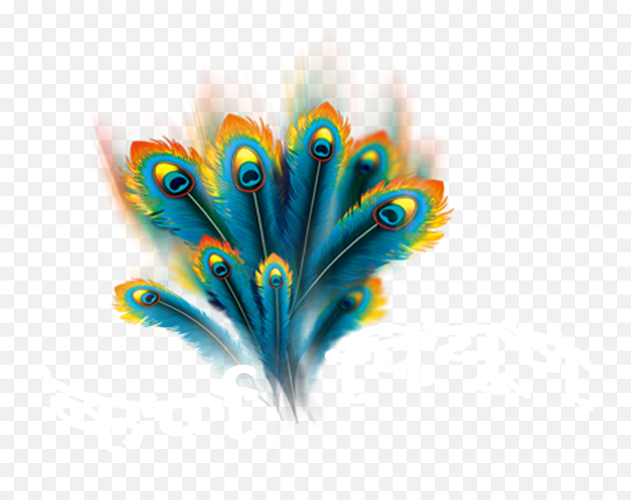 Logo - Peacock Feather Round Png Emoji,Peacock Feather Ascii Emoticon