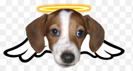 8880 Best Emotes Images On Pholder Fort Nite Br Xqcow And Emoji,Twitch All Emoticons Are Spinners