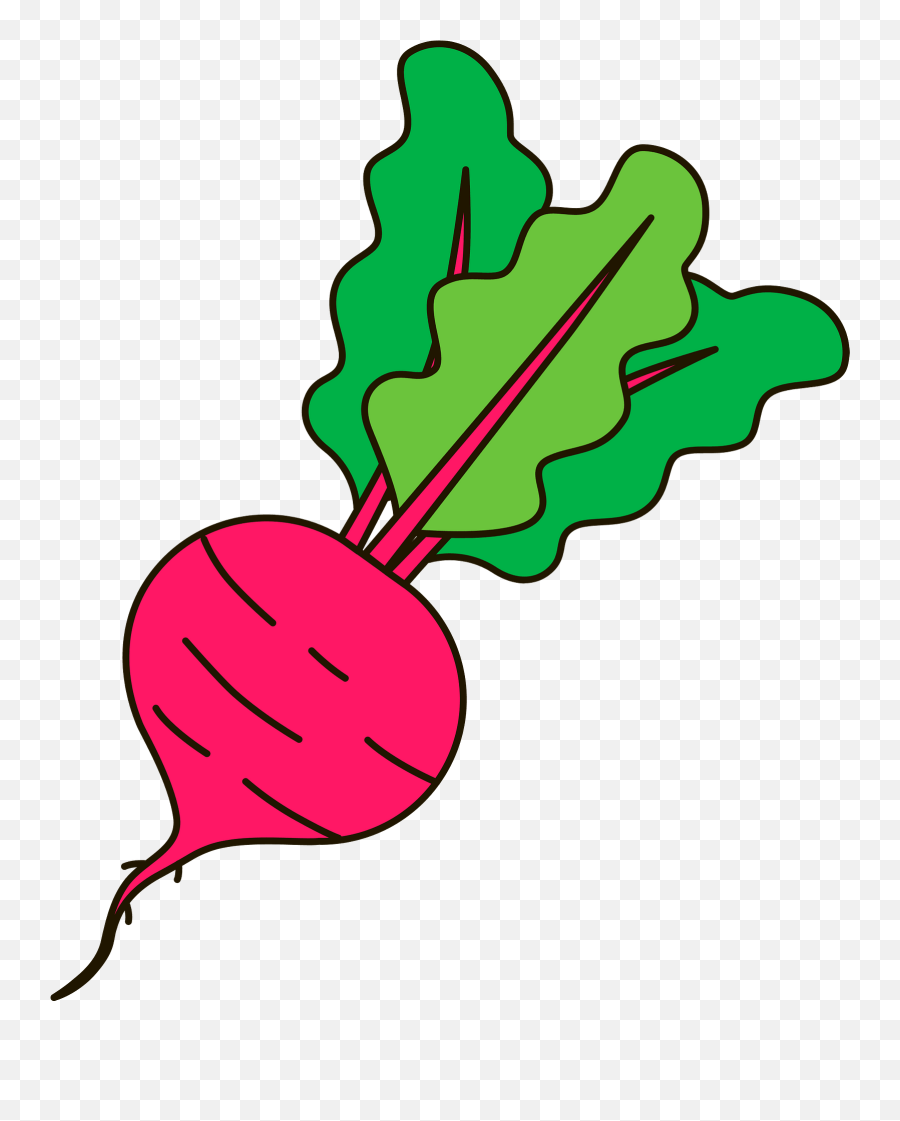 Beetroot Clipart Free Download Transparent Png Creazilla Emoji,Daikon Emoji