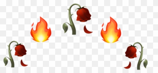 Emojis Emojicombos Sticker By Esti - Transparent Background Fire Emoji Crown,B Emoji Wallpaper