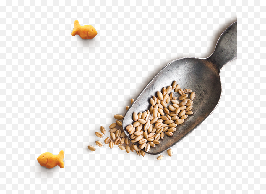 Goldfish Crackers - Pepperidge Farm Superfood Emoji,Pack De Emojis Que Usa Rodny Roblox