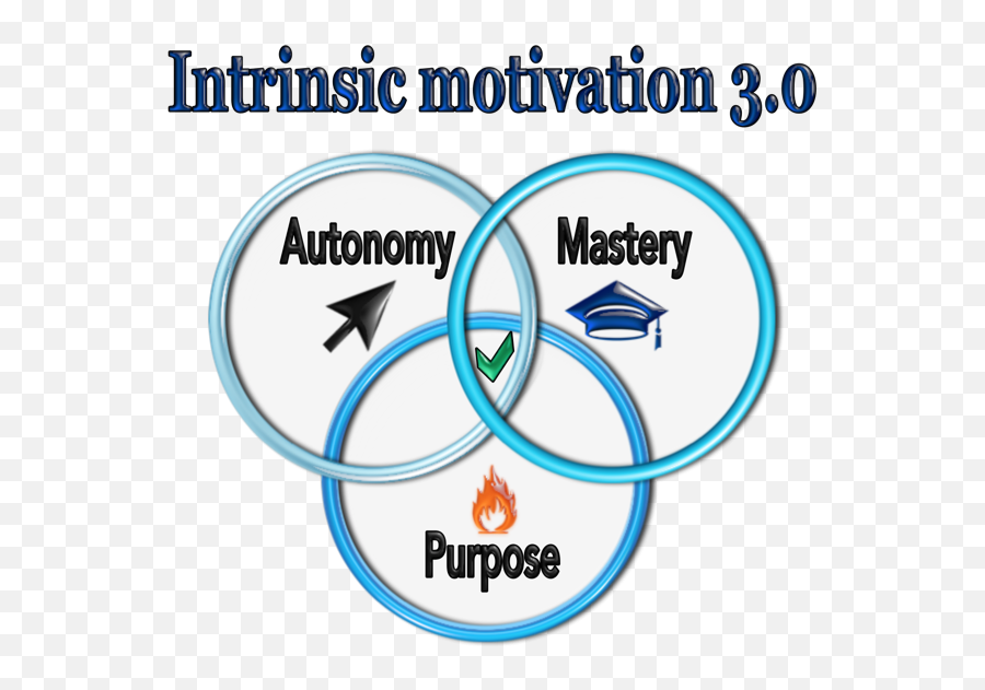 The Flow Of Intrinsic Motivation 30 Emoji,Motivation Is Like Emotions