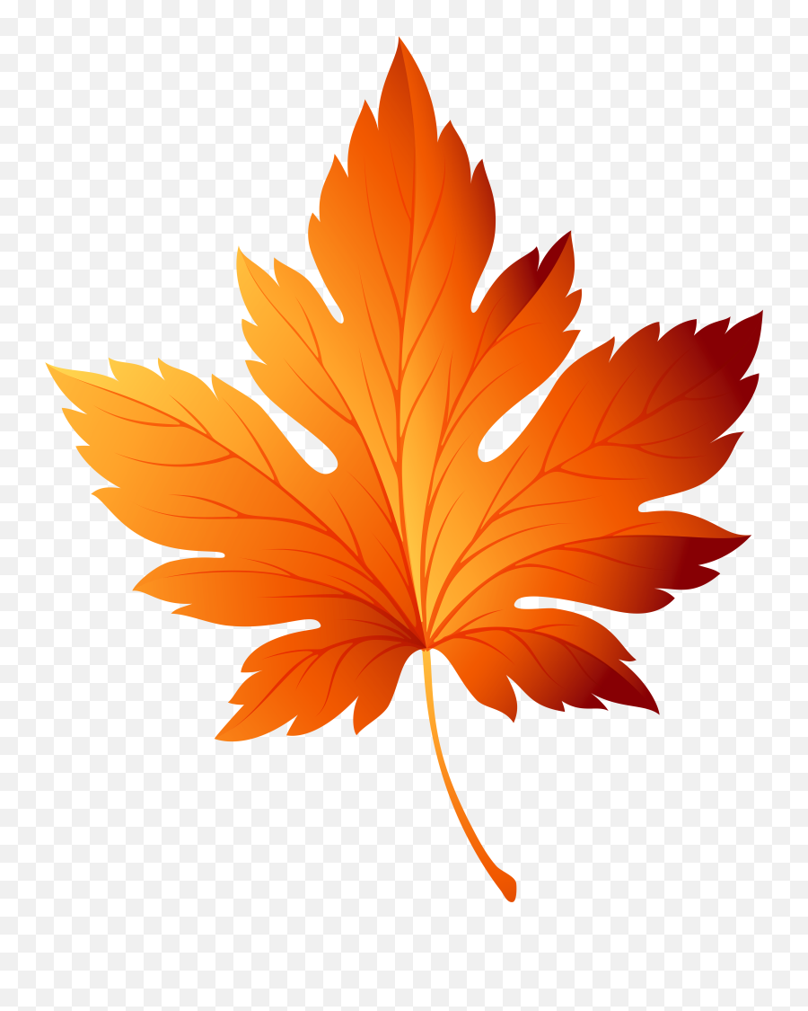 Free Maple Leaf Transparent Download Free Clip Art Free - Autumn Leaf Clipart Emoji,Toronto Maple Leafs Emoticon