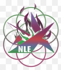 Southern Illinois Fire Flow Retreat - Seed Of Life Sacred Geometry Emoji,Emotions And Colr