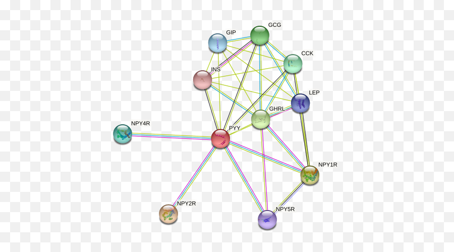 Pyy Protein Human - String Interaction Network Emoji,Emotions And Emulsions