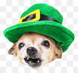 Top Hippo And Dog Stickers For Android U0026 Ios Gfycat - Saint Patricks Day Animal Gifs Emoji,Hippo Emoticons
