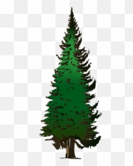 Pine Tree Clipart Free Clipart Images 5 - Clip Art Pine Tree Emoji,Pine Tree Emoji