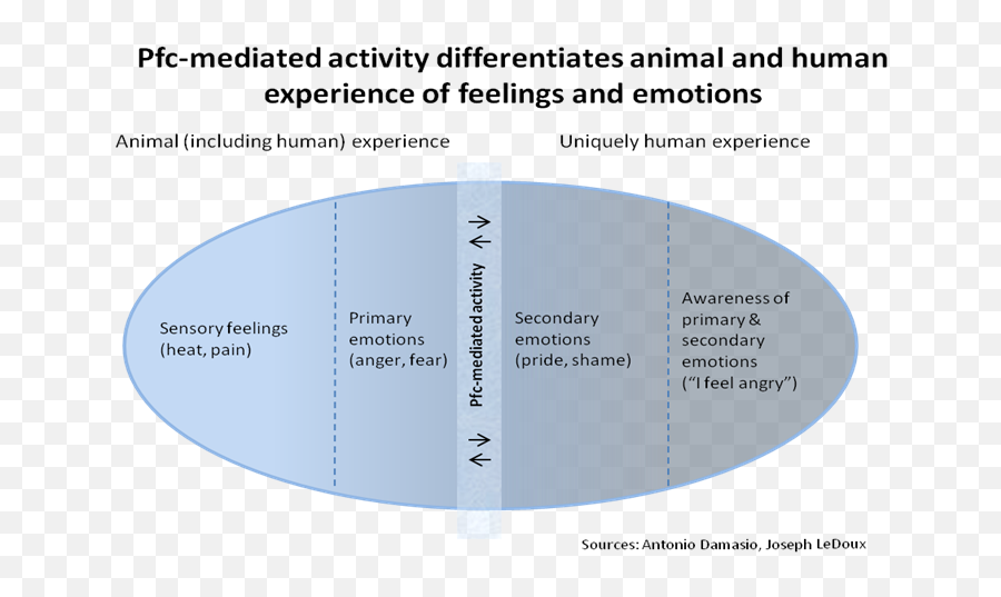 Ethology - Vertical Emoji,Primary Emotions