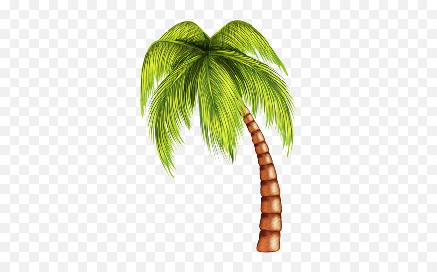 Tropical Summer Palm Tree Palmera Sticker By Anna - Transparent Background Coconut Tree Clipart Hd Emoji,Palm Tree Emoji