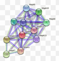 Dusp4 Protein - Dot Emoji,Emotion Nitro Cross