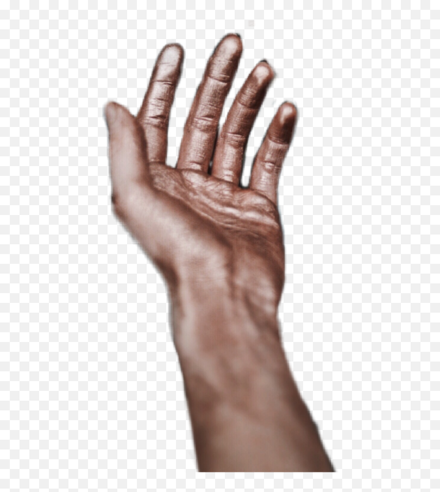 Hand Hands Arm Sticker By Hannabonecrusheredits - Reaching Arm Png Emoji,Reaching Emoji