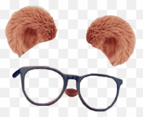 Bear Bearfilter Filter Sticker - Transparent Bear Snapchat Filter Emoji,Emoji With Sunglasses On Snapchat