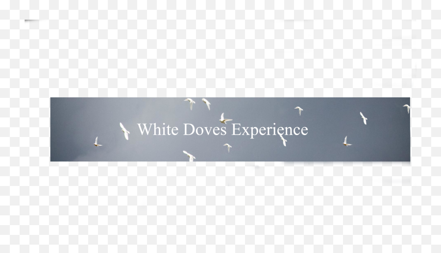 Reviews U2014 White Doves Experience - Portable Network Graphics Emoji,What Emotion Is White
