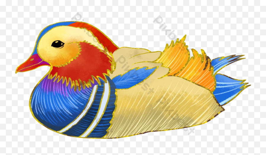 Hand Painted Mandarin Duck Bird - Rubber Duck Emoji,Bird Emoticon Html
