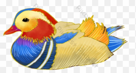 Hand Painted Mandarin Duck Bird - Rubber Duck Emoji,Bird Emoticon Html