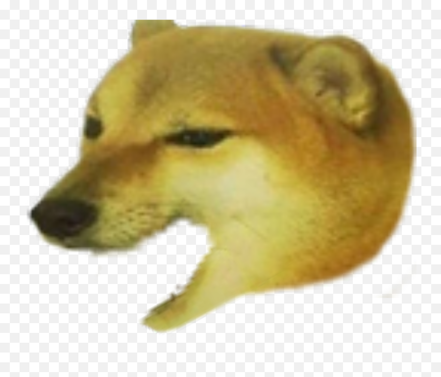 Magic Of The Internet At Imgur - Doge Open Mouth Png Emoji,Steam Emoticon Art Doge