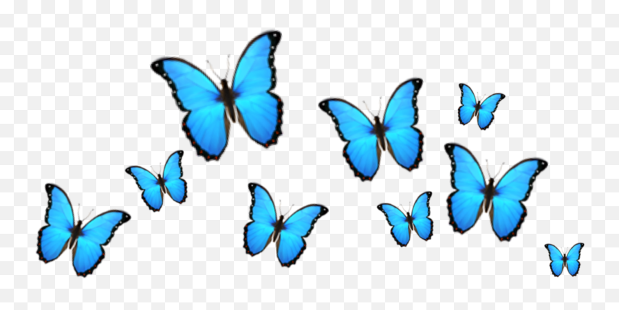 Iphone Transparent Background Blue Butterfly Emoji - Language,Shrug Emoticon Tumblr