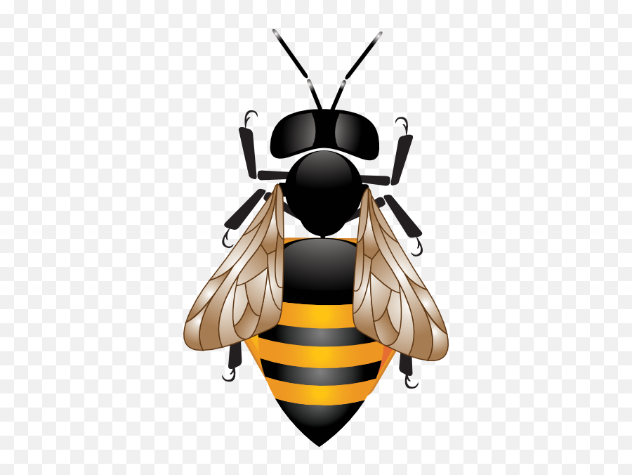 Clipart Hd Free - Venta Miel De Abeja Emoji,Bee Emojis Apple Vector