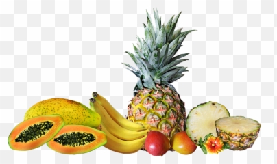 Free Photo Food Healthy Fruit Tropical - Tropical Food Png Emoji,Pineapple Emotions